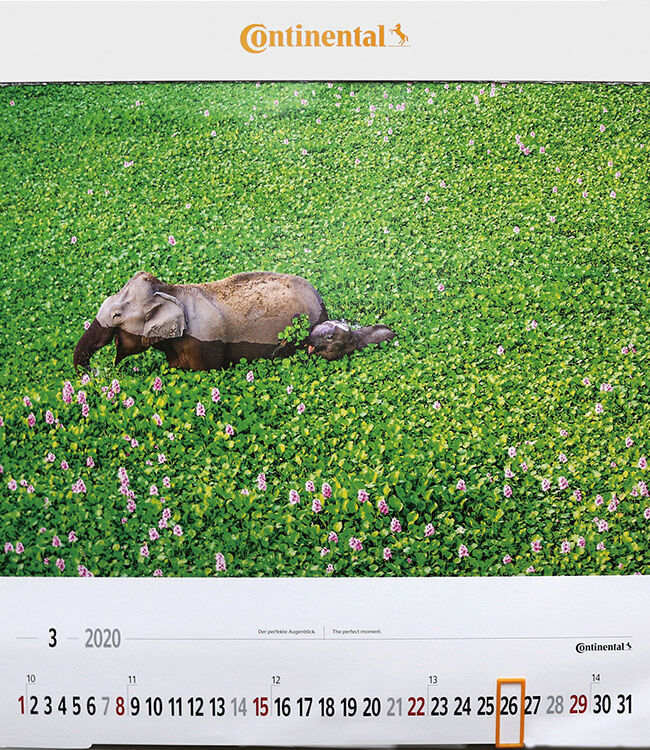 　壁掛けタイプを5名に。カレンダーのテーマは「楽園への招待」で、世界の大自然の景観や動物、建造物などの写真で12カ月を構成。それぞれの写真に付けられたワンポイントのコピーが、写真の世界観をいっそう広げてくれます。3月（象の親子）のコピーは「The perfect moment」。サイズは縦×横約540×490mm。14枚構成。日付を示すオレンジ色のスライダーが付属しています。